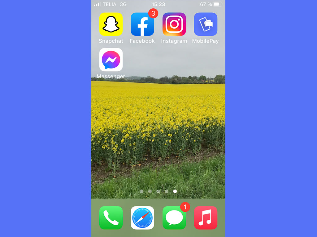 Screendump af iphonetelefon. Kornmarker og ikoner til sociale medier.