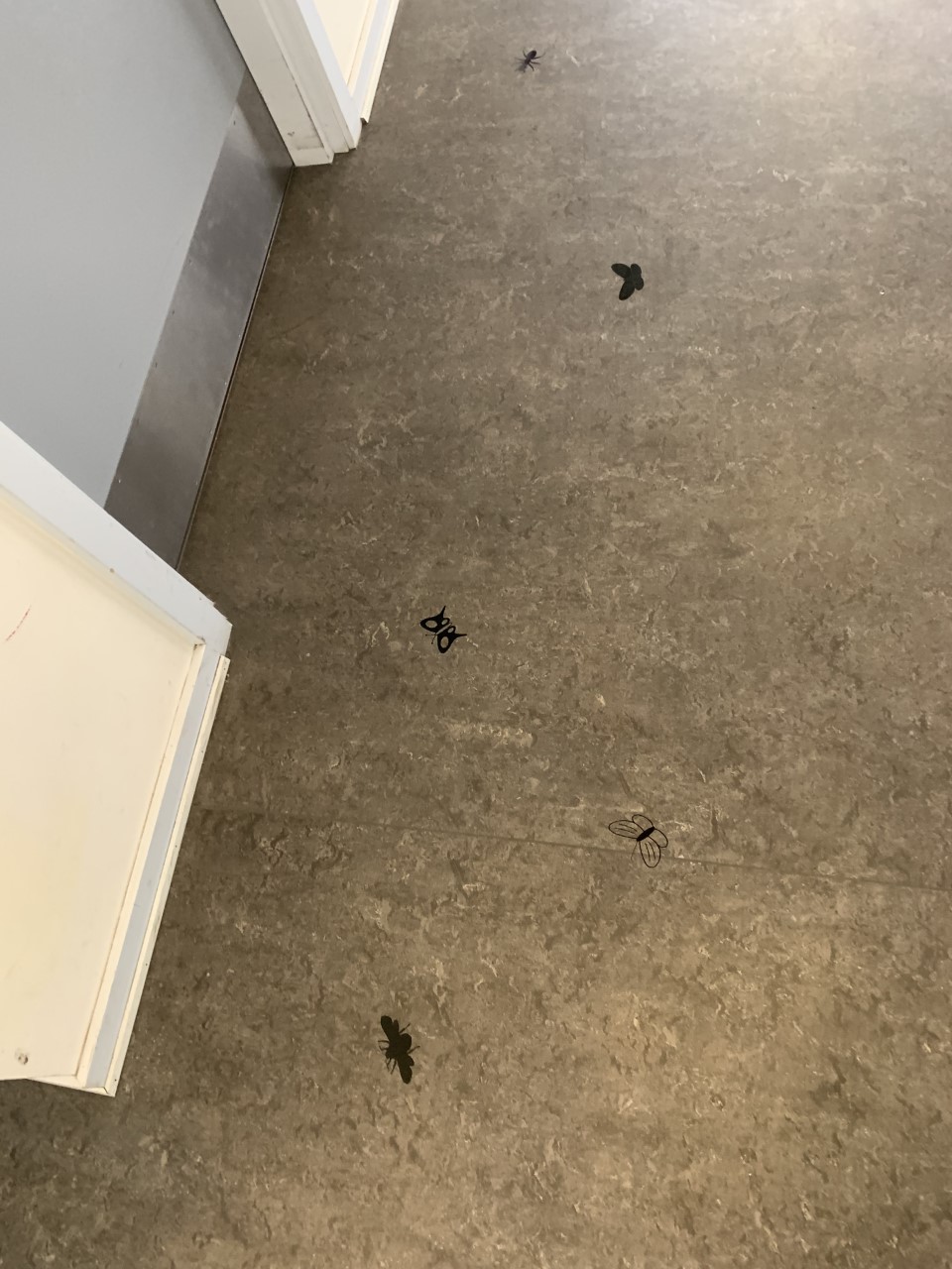 Insekter tegnet på gulv
